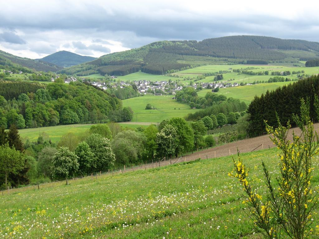 Ferienwohnung Moos-Hochsauerland Wiemeringhausen Oda fotoğraf