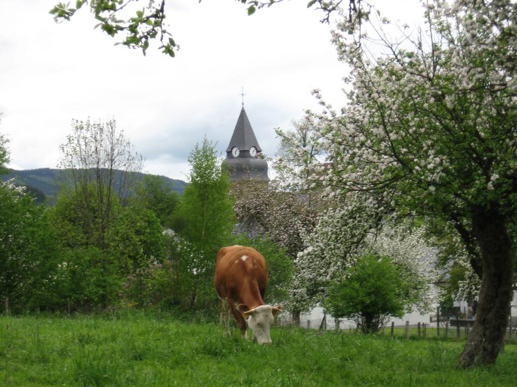 Ferienwohnung Moos-Hochsauerland Wiemeringhausen Oda fotoğraf