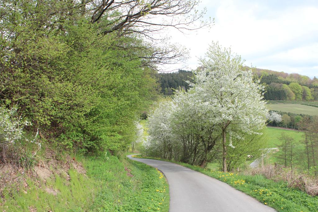 Ferienwohnung Moos-Hochsauerland Wiemeringhausen Oda fotoğraf